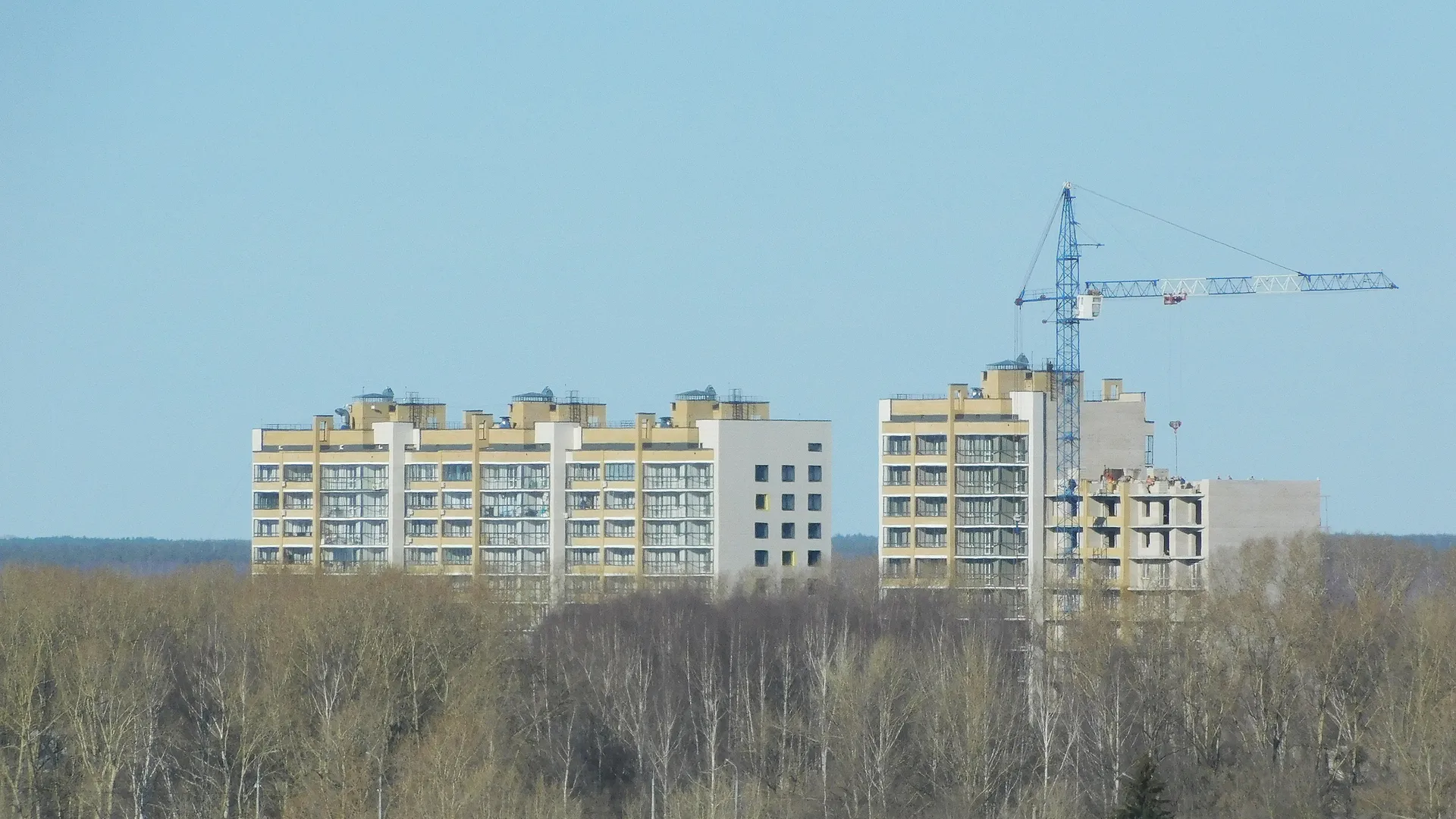 В Воронежской области в 2026 году впервые вручат знак «За заслуги в архитектуре и строительстве»