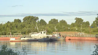 Воронежскую область поздравили с Днём Военно-Морского Флота