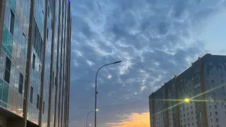 Хмуро и пасмурно, но по-летнему тепло: прогноз погоды в Воронежской области на 22 июля