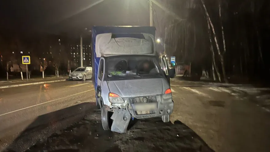 Сразу два жителя Воронежа оказались под колесами грузовика