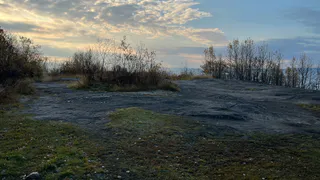 В Северном лесу Воронежа обнаружен незаконный слив бетонных отходов