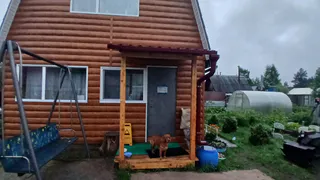 Как защитить деревянный дом от гниения: срок службы увеличится в несколько раз