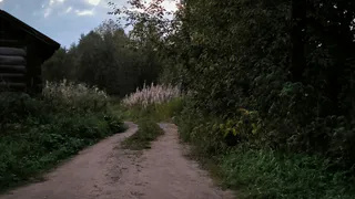 Под Воронежем мужчина ударил ребёнка за вопрос об уточнении направления пути