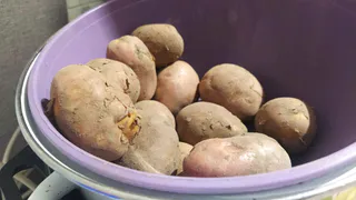 Селяне Воронежской области просят зафиксировать оптовые цены на картошку