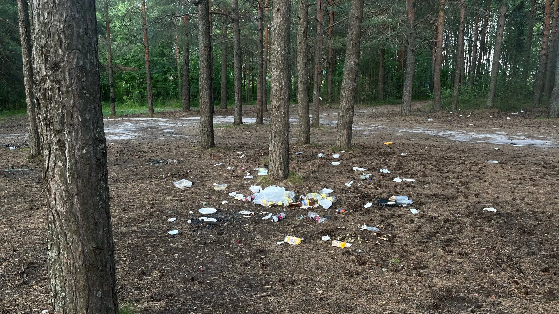 Волонтеры Воронежа собрали больше тонны мусора на побережье водохранилища