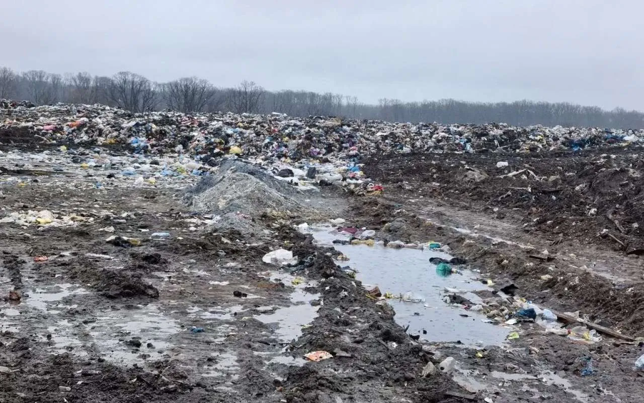 В Воронежской области ущерб от незаконного полигона превысил 11,5 миллиона рублей