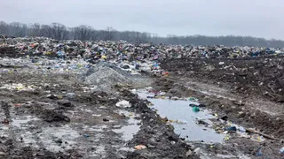 В Воронежской области ущерб от незаконного полигона превысил 11,5 миллиона рублей