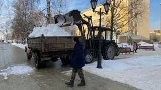 Власти Воронежской области поздравили работников ЖКХ и бытового обслуживания