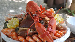 Ученые выделили самые полезные морепродукты - не креветки, не мидии и в 2 раза полезнее икры