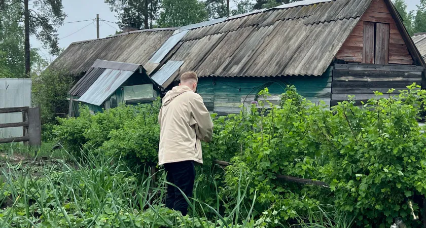 Соорудил на даче «вечный септик» - и ничего не откачиваю. Просто надо было учить биологию в школе
