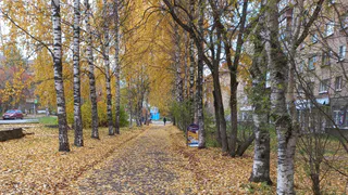 В Воронежской области антициклон принесёт прохладную погоду без осадков 21 октября