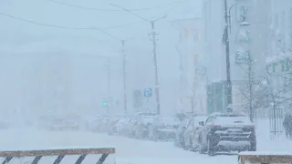 Снежная погода ожидается в Воронежской области 21 февраля