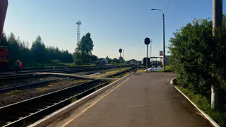После вмешательства прокуратуры в Лисках ликвидировали двухсотметровую свалку отработанных шпал
