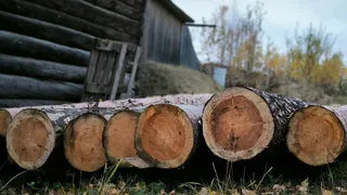 Гуманитарная помощь из Лисок: две новые партии грузов отправлены военнослужащим на сумму свыше 451 тысячи рублей