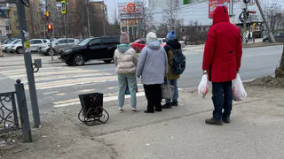 Ученые назвали группу крови глупых людей: она была даже у известных личностей