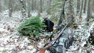 Воронежским охотникам напомнили о сдаче разрешений после закрытия сезона