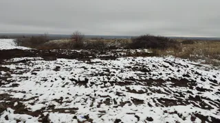 В Воронежской области ликвидирована масштабная несанкционированная свалка