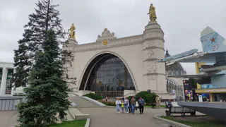 Лев и Скорпион: когда два сильных человека встречаются вместе — это сотрудничество или война за трон