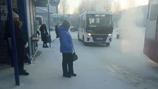 "Бабушка прогнала всех подружек" или почему Наталья Бехтерева была всегда была права