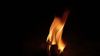 В Воронежской области женщину отправили на принудительные работы за поджоги