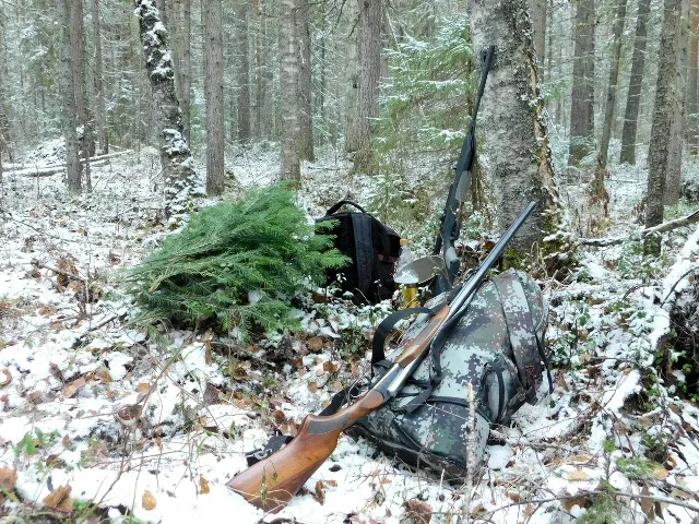 В Воронежской области ввели лимиты на добычу лосей, оленей, косуль и барсуков