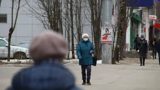 В Воронежской области распространили фейк о мерах против легочной чумы