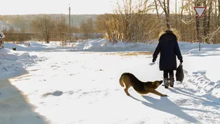 Если планируете жить комфортно до 90: запомните 5 простых привычек для долгой и счастливой жизни