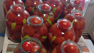 Сахарные помидоры на зиму. Рассол настолько вкусный, что его пьют ложками: рецепт, проверенный временем
