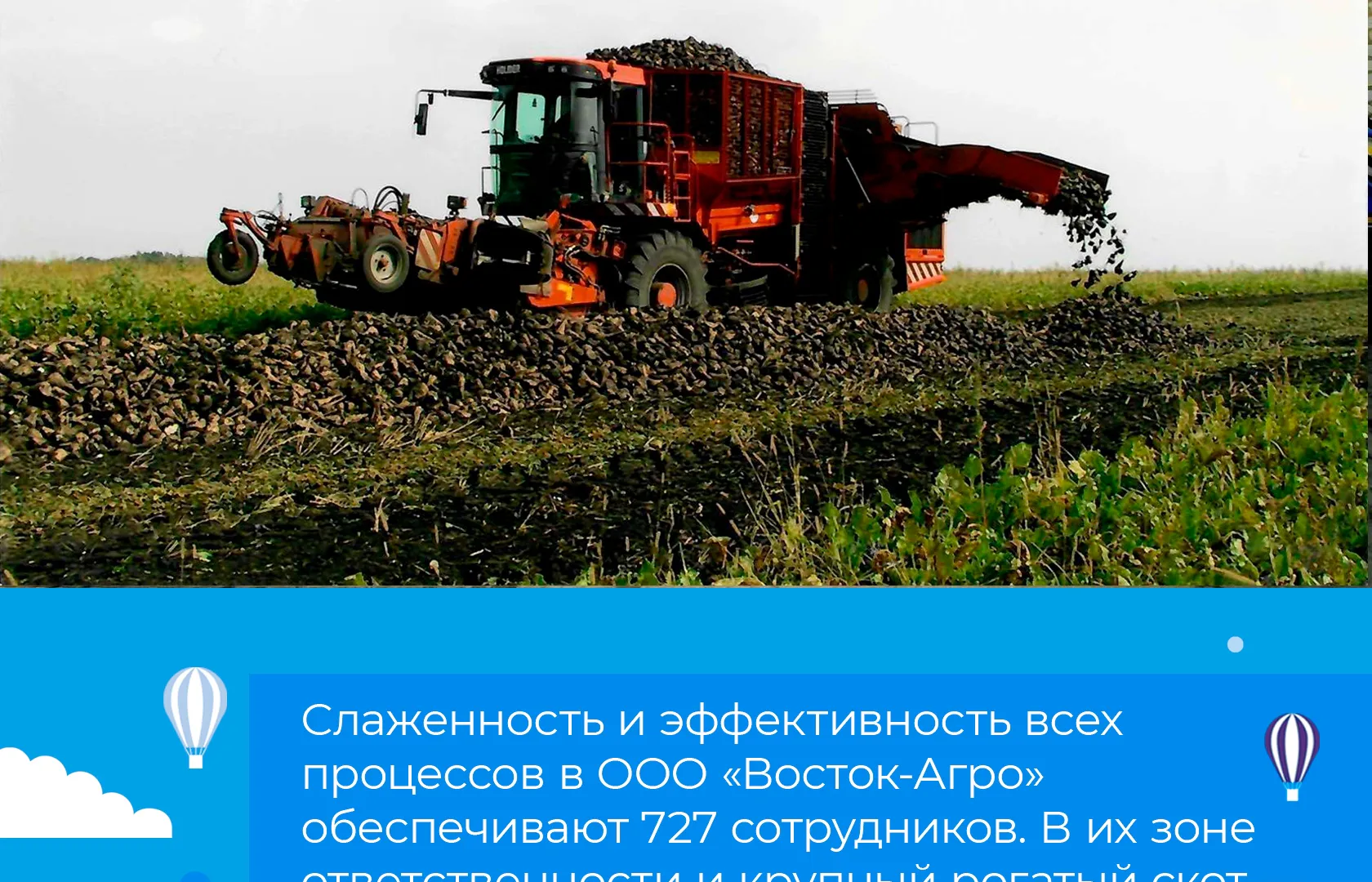 Из Воронежской области с начала года экспортировали почти 82 тысячи тонн растительной продукции в 23 страны мира