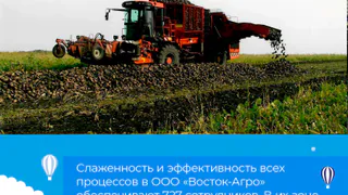 Из Воронежской области с начала года экспортировали почти 82 тысячи тонн растительной продукции в 23 страны мира
