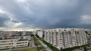 Жителей Воронежской области 28 июня ждут дожди и до +24 градусов