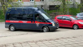  СК России может принять к расследованию нападение на девушку в Воронежской области