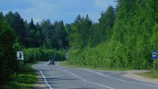 Через Лиски и Россошь: дополнительный поезд на юг запустят из Москвы в Адлер