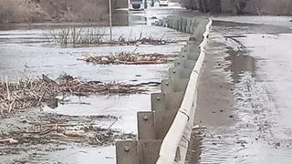 В Воронежской области 15 апреля закрыли мост из-за подъема воды в реке