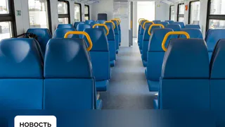 Воронежская Госавтоинспекция начала массовые проверки автобусов на дорогах региона