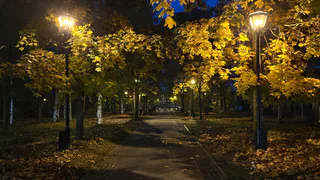 Воронежцев и жителей Лисок ждёт тёплая и пасмурная суббота