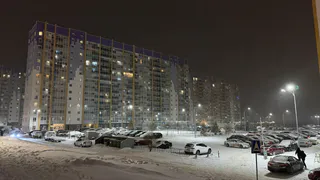 Воронежская область встретит 21 декабря облачной погодой и небольшим снегом