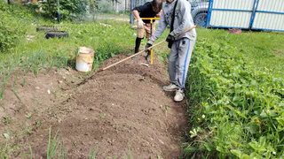 Больше не мучаюсь в тяжёлых галошах: идеальная обувь для грядок, в которой ноги дышат и всегда остаются чистыми