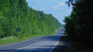Воронежскую область 10 июня ждёт жара до +33°C и локальные грозы с дождём