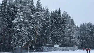 В регион снова придут суровые морозы: прогноз погоды в Воронежской области на 16 февраля