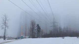 Переходящий в снег туман окутает регион: прогноз погоды в Воронежской области на 22 января
