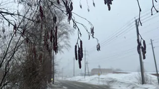Снег и гололедица: прогноз погоды в Воронежской области на 3 марта