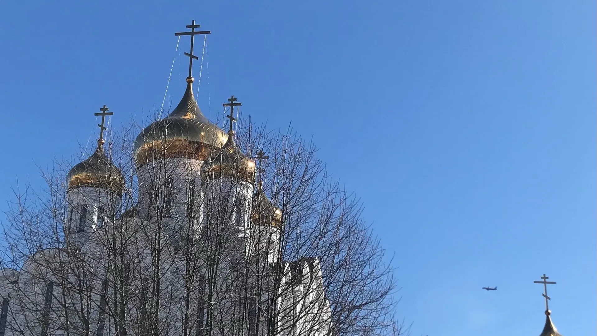 Столбики термометров в Воронежской области поднимутся до +16 градусов 26 марта