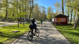 Воронежцы приняли участие в велопрогулке в стиле ретро