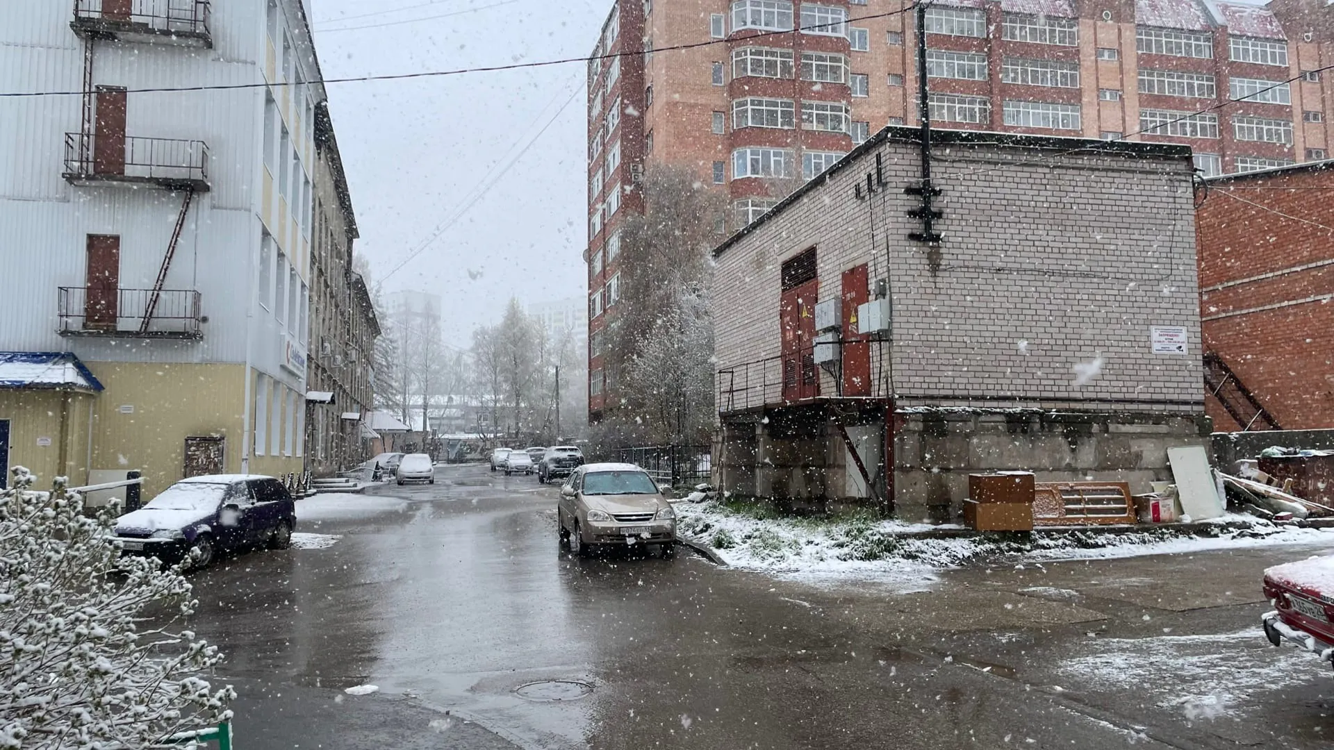 Снег, дождь и туман: какая погода ждет Воронежскую область 25 февраля