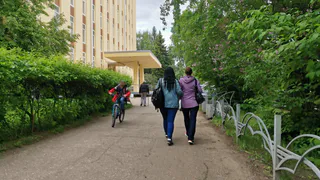 В Воронежской области IT-специальности и программная инженерия возглавили рейтинг самых востребованных направлений в вузах