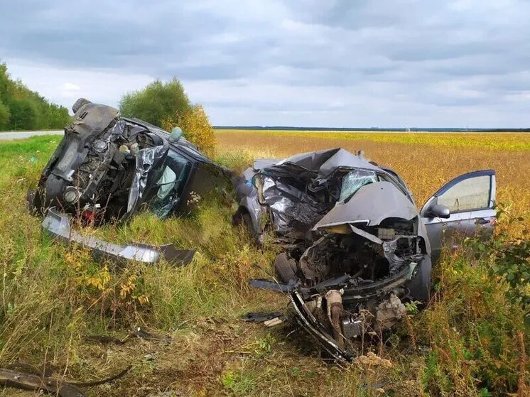 На трассе в Воронежской области столкнулись два автомобиля, один водитель погиб