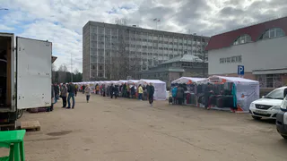 В Лисках прошла традиционная ярмарка, приуроченная ко Дню города и района