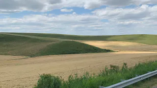 «Июль подложит нам всем свинью». Синоптики сообщили, к чему готовиться