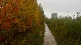 В Воронежской области синоптики прогнозируют пасмурную холодную погоду 22 октября